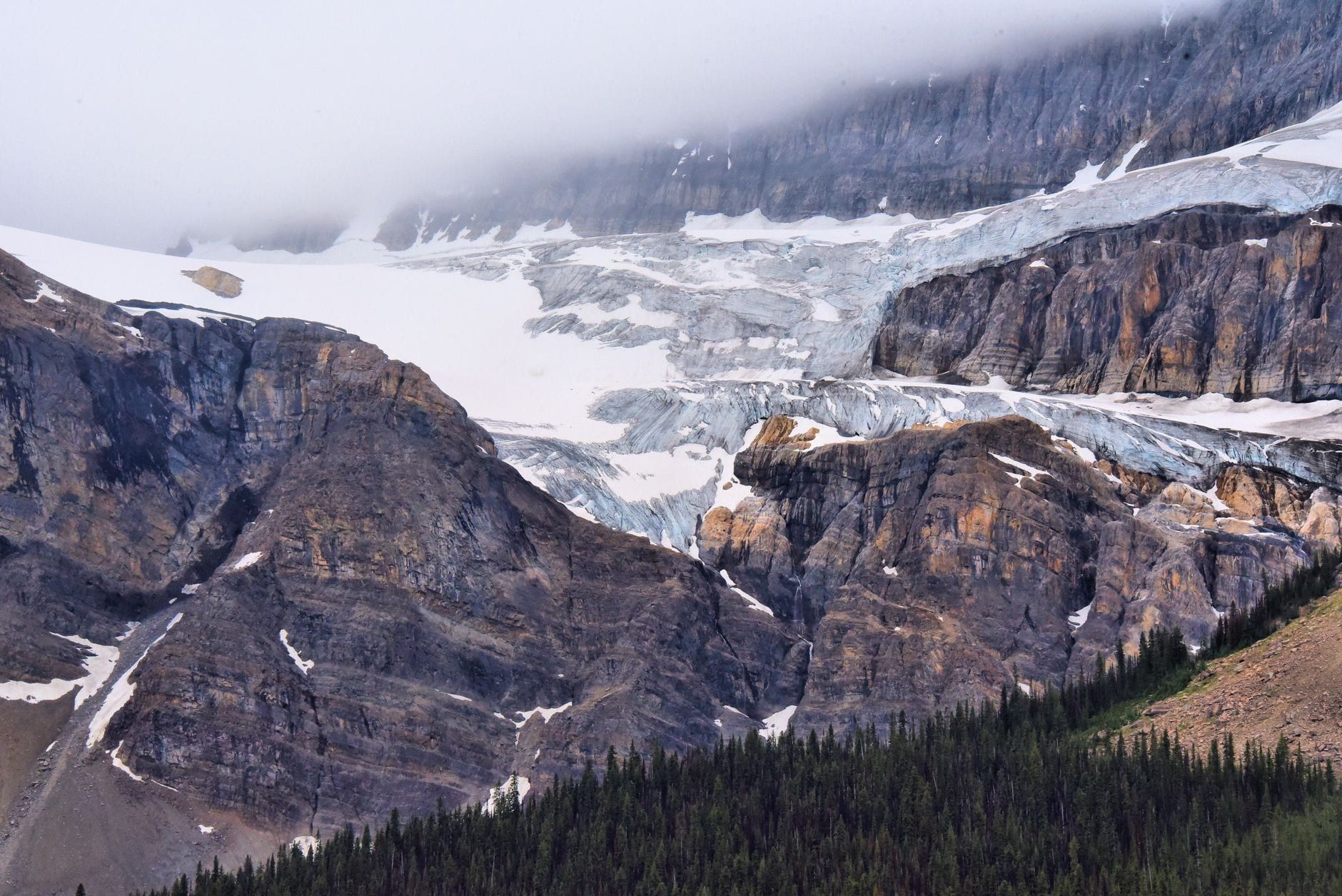 Glaciers and snow cling to rugged rock faces and mountain peaks above an evergreen forest in the Columbia Icefield.
