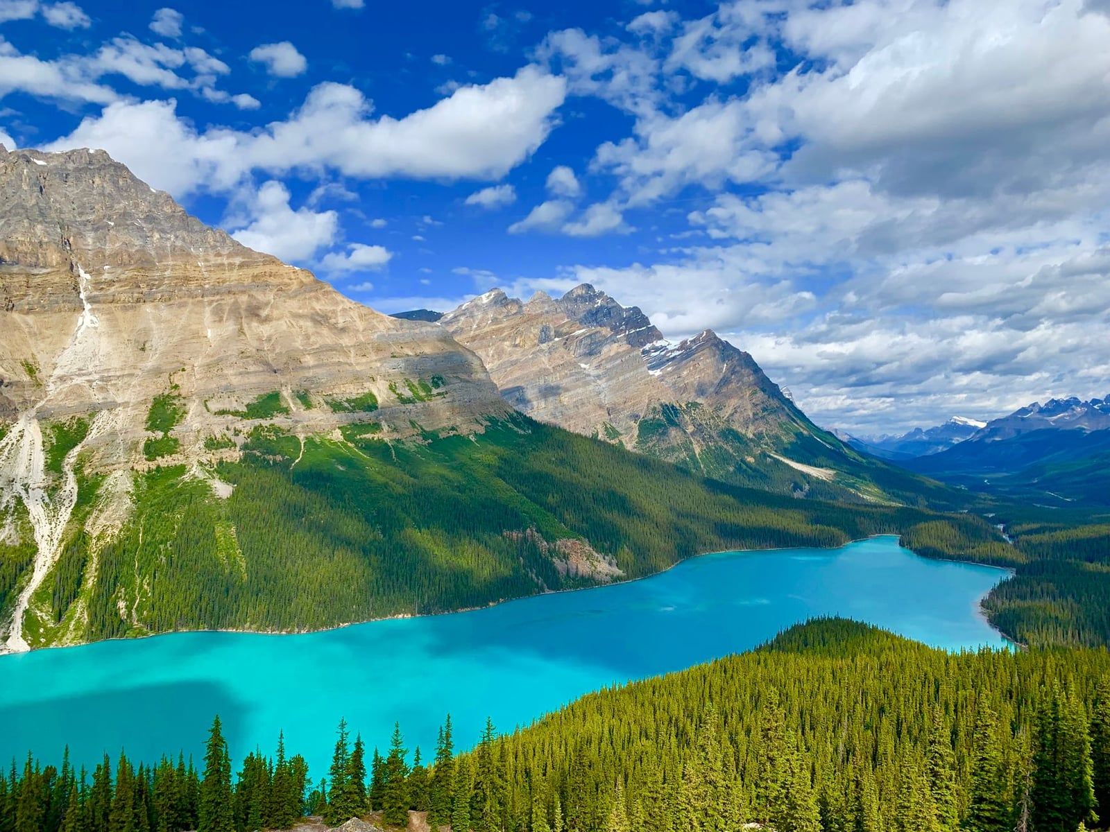 Vibrant turquoise waters of Peyto Lake framed by forested slopes and towering Rocky Mountain peaks in Banff National Park along the Icefields Parkway.