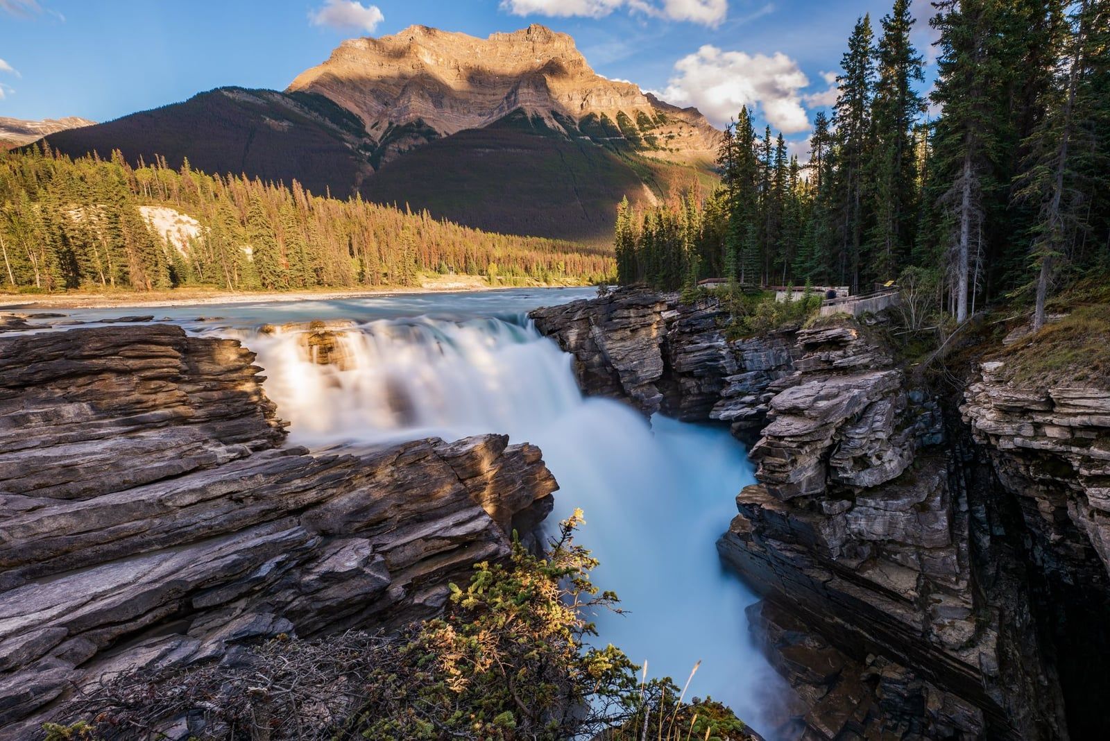 Athabasca Falls cascades over layered rock into a canyon beneath Mount Kerkeslin along the Icefields Parkway in Jasper National Park.