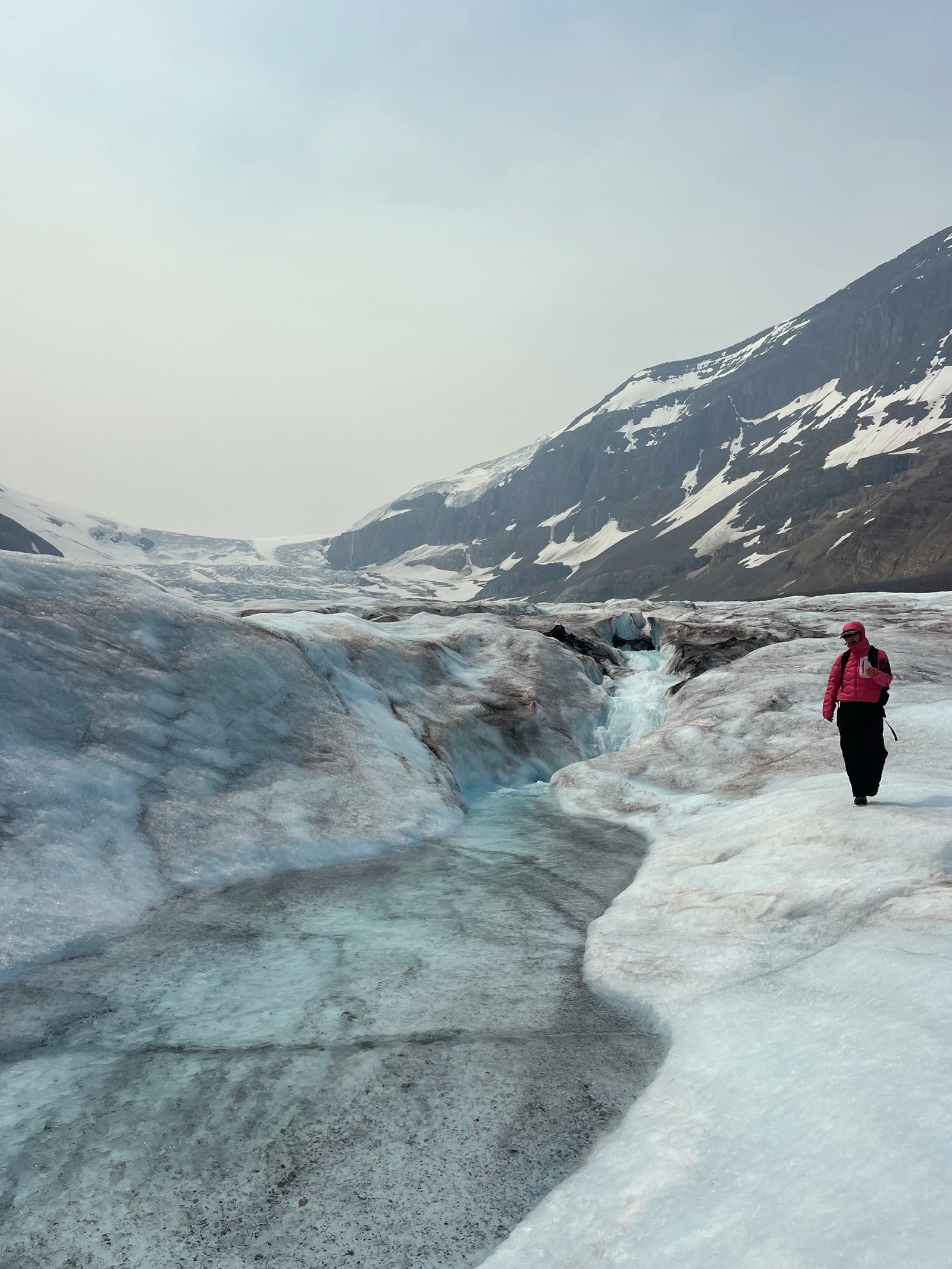 Columbia Icefield tour visitor photo